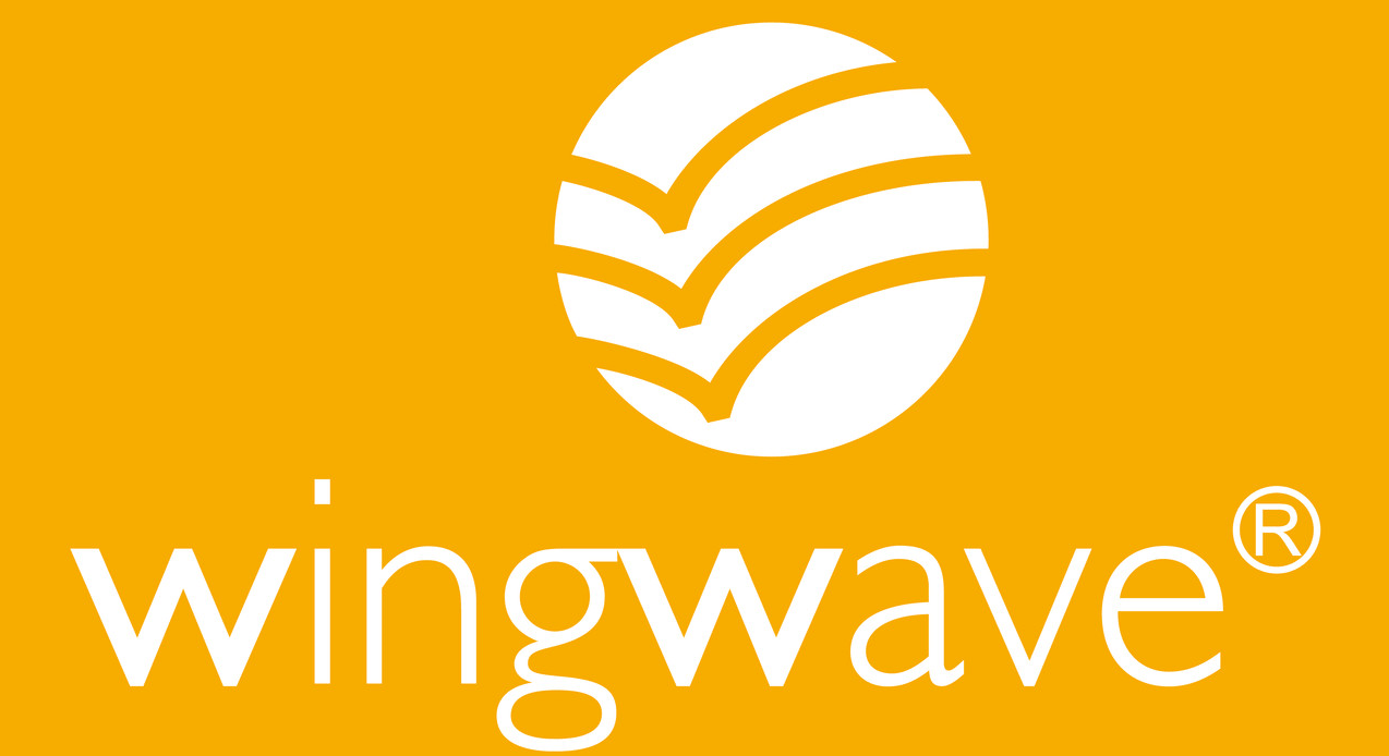 Wingwave коучинг 